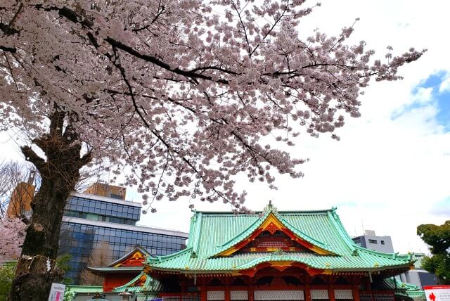 神田明神の桜(花見)