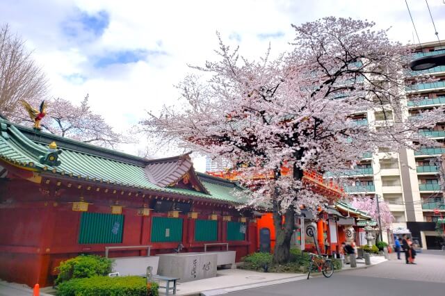 神田明神の桜の見どころ｜隨神門