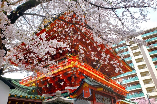 神田明神の桜の見どころ｜隨神門