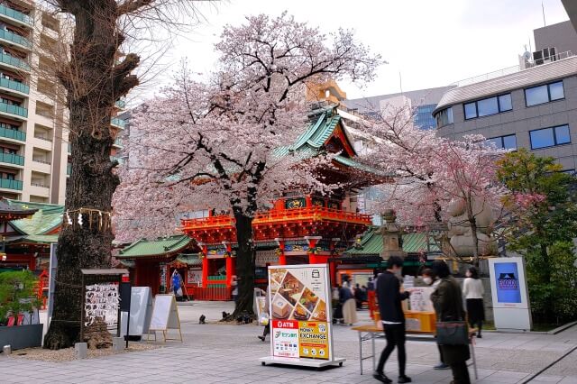 神田明神の桜の見どころ｜隨神門