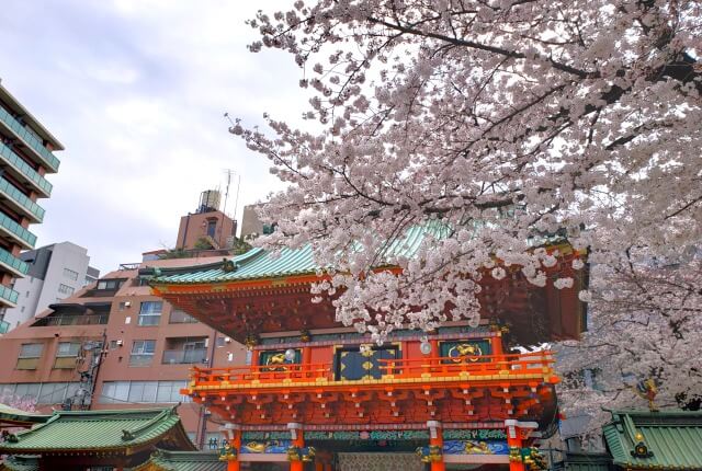 神田明神の桜の見どころ｜隨神門