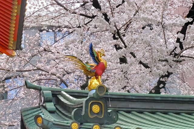 神田明神の桜の見どころ｜千社札納札所の鳳凰