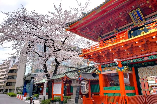 神田明神の桜(花見)の見頃と見どころ