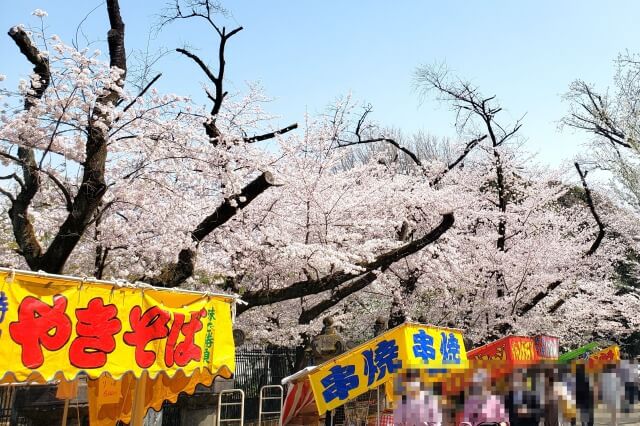 上野東照宮の桜(花見)の時期の屋台(出店・露店)