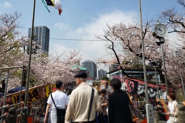 不忍池辯天堂（弁天堂）の桜(花見)の時期の屋台(出店・露店)