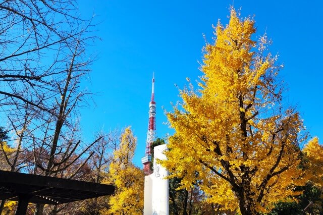 芝公園ともみじ谷の紅葉の見頃