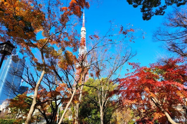 芝公園弁天池の紅葉のみどころ