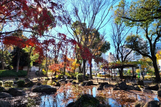 芝公園弁天池の紅葉のみどころ