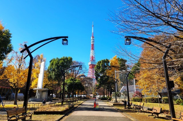 芝公園4号地児童遊園の紅葉のみどころ