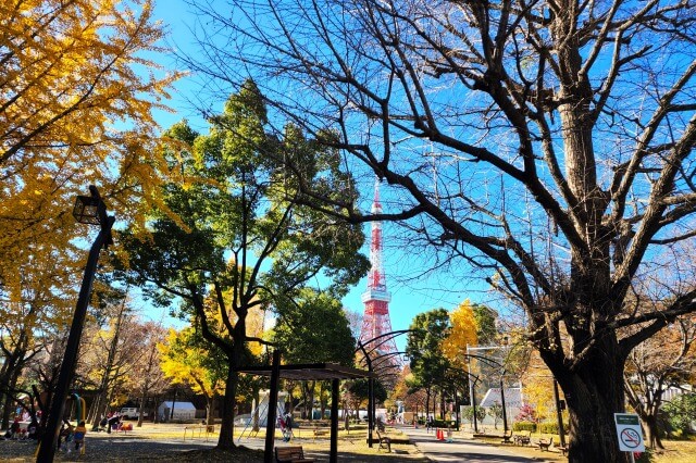 芝公園4号地児童遊園の紅葉のみどころ