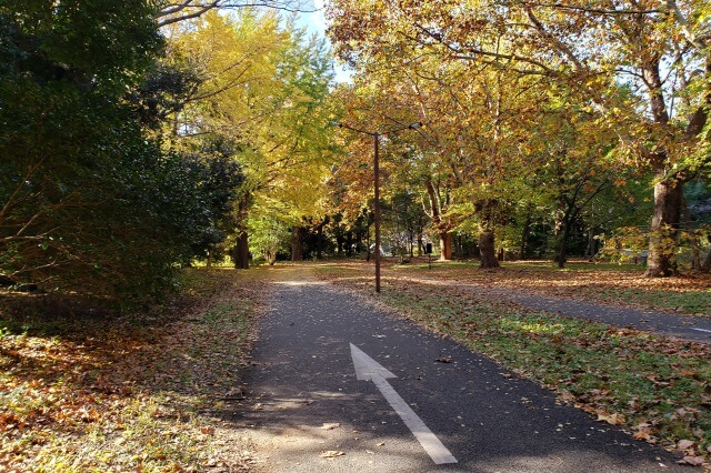 昭和記念公園の紅葉サイクリング｜⑥立川口～１サークル