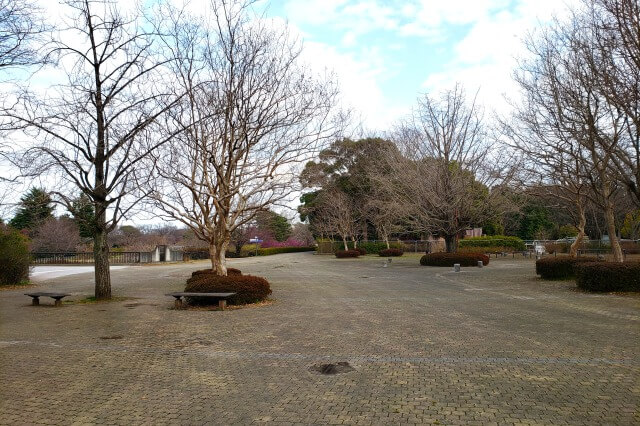 昭和記念公園の昭島口からの自転車の持ち込み方法