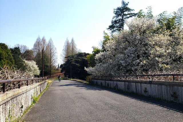 昭和記念公園の玉川上水口からの自転車の持ち込み方法