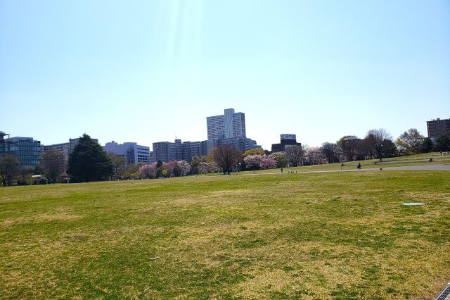 昭和記念公園の無料エリア|ゆめひろば