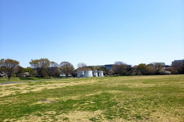 昭和記念公園の無料エリア|ゆめひろば