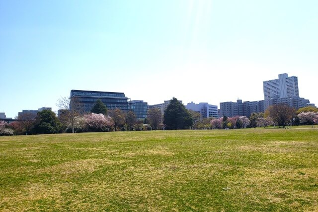 昭和記念公園のみどりの文化ゾーン｜誰でも無料で使えるエリアです