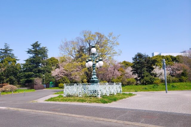 昭和記念公園の桜(花見)スポット｜みどりの文化ゾーン