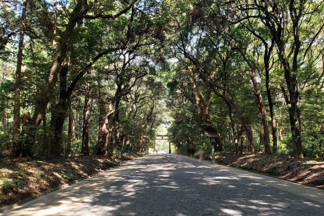 明治神宮の参道｜北参道からの参拝ルート