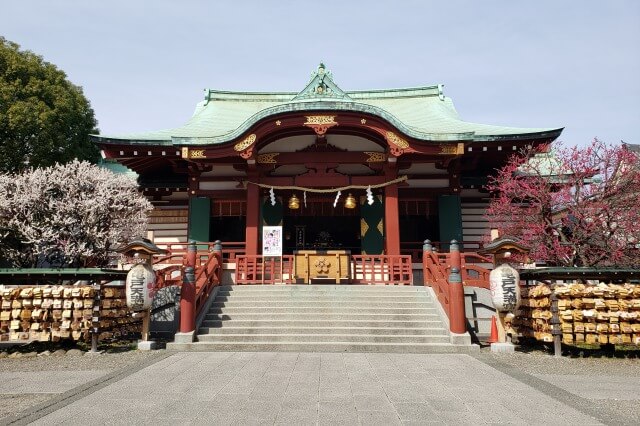 亀戸天神の梅の見頃と見どころ