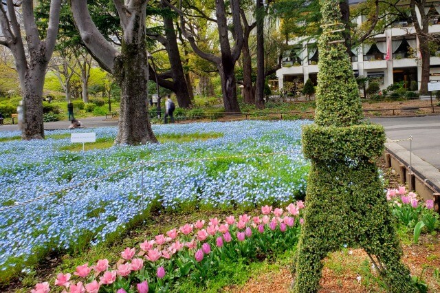 日比谷公園のチューリップの見どころ