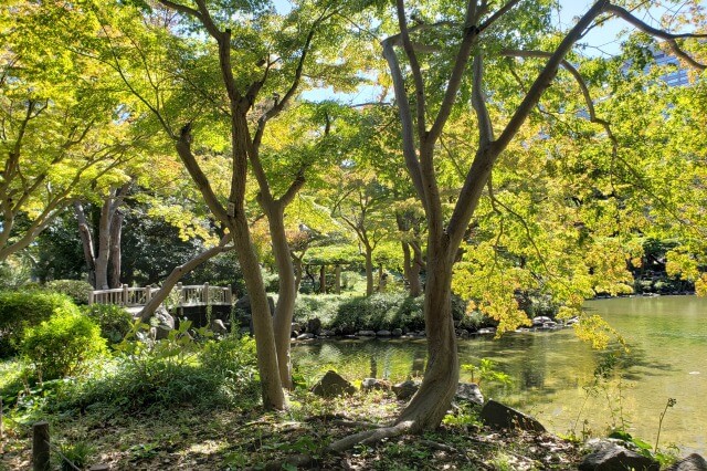 日比谷公園の雲形池と周りの風景