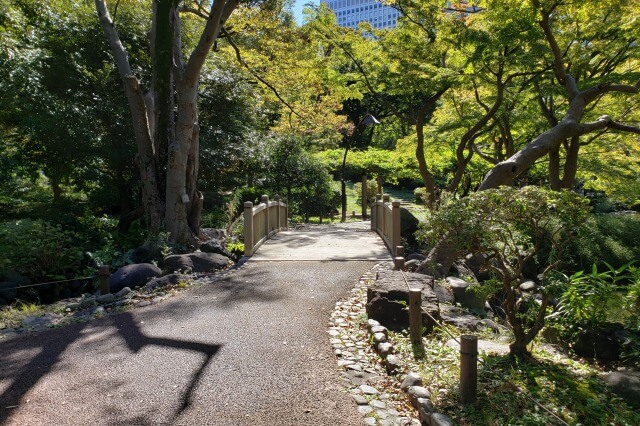 日比谷公園の雲形池と周りの風景