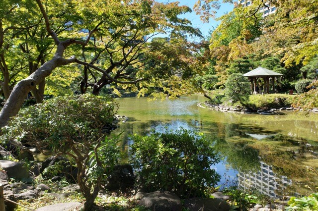 日比谷公園の雲形池と周りの風景