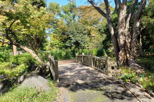 日比谷公園の雲形池と周りの風景