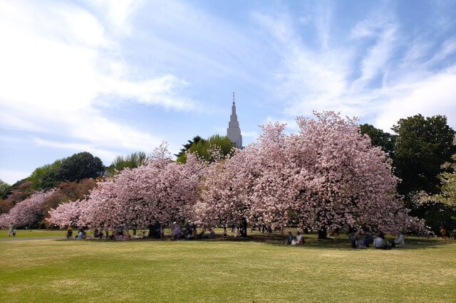 一葉(イチヨウ)｜風景式庭園など