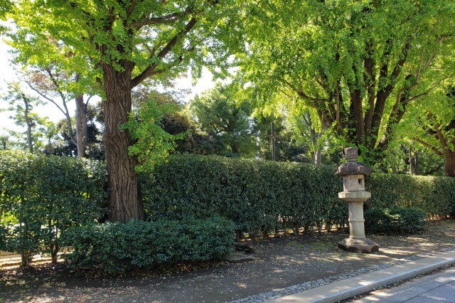 靖国神社への参拝