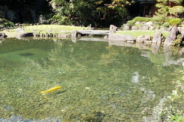 靖国神社の神池庭園｜池には錦鯉が泳ぐ優雅な回遊式庭園