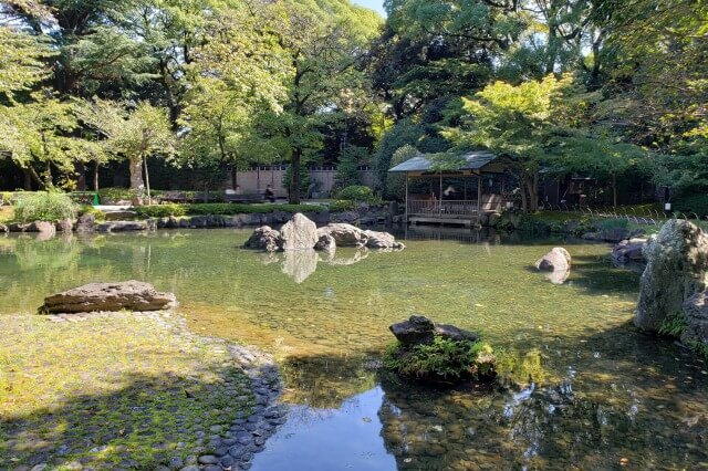 靖国神社の神池庭園｜池には錦鯉が泳ぐ優雅な回遊式庭園