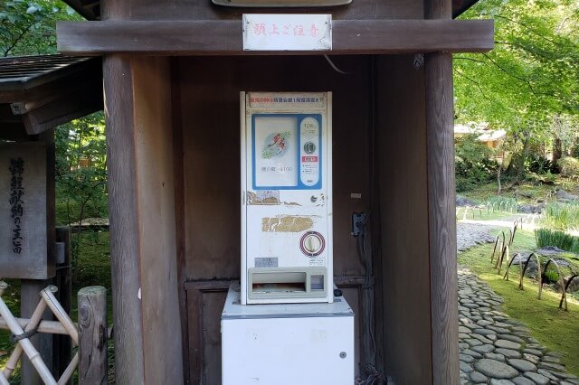 靖国神社の神池庭園｜池には錦鯉が泳ぐ優雅な回遊式庭園