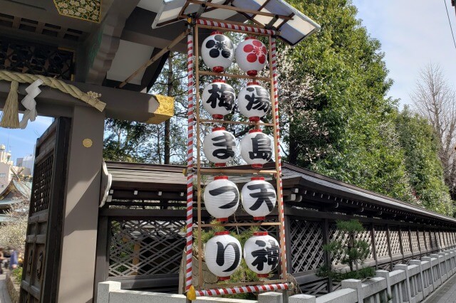 湯島天神(天満宮)の梅まつり