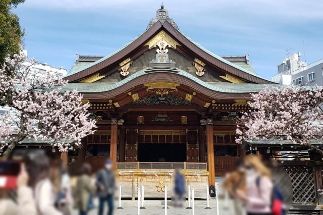 湯島天神(天満宮)の梅の花の写真｜本殿正面