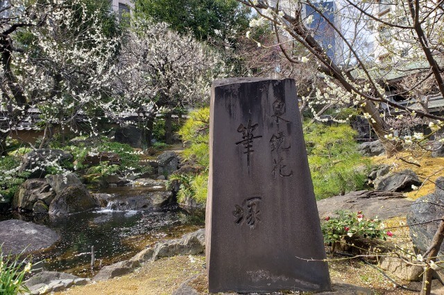 湯島天神(天満宮)の梅の花の写真｜梅園(唐門側)