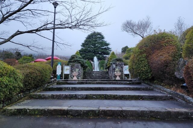 【箱根旅行記】12月の強羅公園｜年末年始でも花は見れるの？