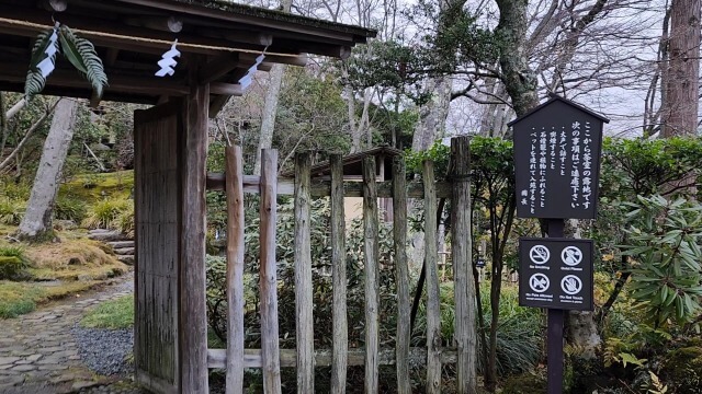 【箱根旅行記】12月の強羅公園｜年末年始でも花は見れるの？