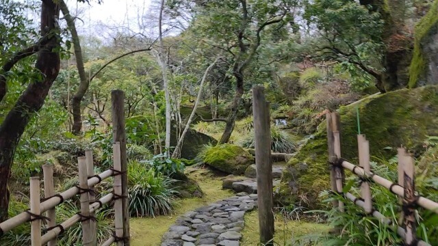 【箱根旅行記】12月の強羅公園｜年末年始でも花は見れるの？