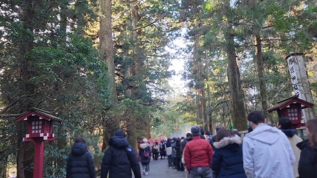 【箱根旅行記】元旦に箱根神社で初詣｜正月はどれくらい混雑するの？