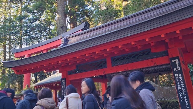 【箱根旅行記】元旦に箱根神社で初詣｜正月はどれくらい混雑するの？