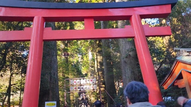 【箱根旅行記】元旦に箱根神社で初詣｜正月はどれくらい混雑するの？