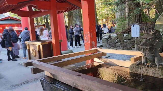 【箱根旅行記】元旦に箱根神社で初詣｜正月はどれくらい混雑するの？