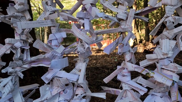 【箱根旅行記】元旦に箱根神社で初詣｜正月はどれくらい混雑するの？