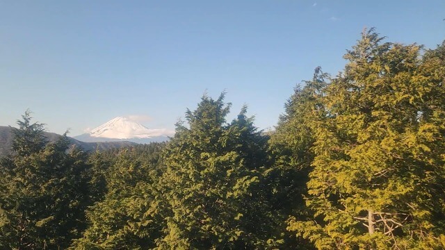 【箱根旅行記】箱根ロープウェイから富士山が見えるおすすめ区間は？