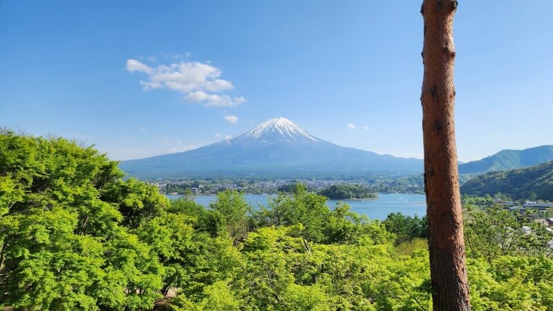 星のや富士子連れ旅行記｜グランピングって何？楽しみ方を紹介します。