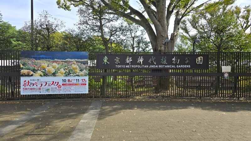 神代植物公園の秋のバラフェスタ｜秋でもきれいなバラは見れるの？