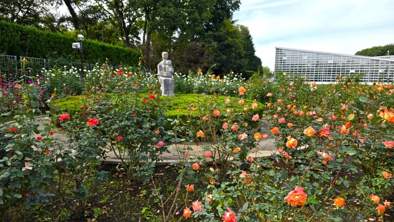 神代植物公園の秋のバラフェスタ｜秋でもきれいなバラは見れるの？