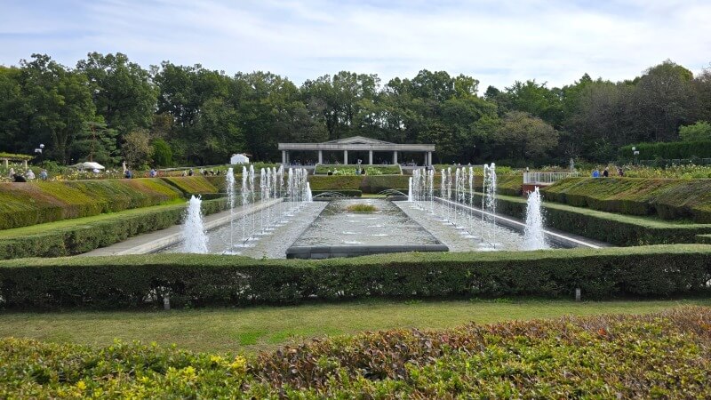 神代植物公園の秋のバラフェスタ｜秋でもきれいなバラは見れるの？