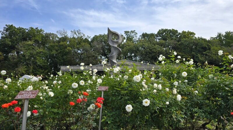 神代植物公園の秋のバラフェスタ｜秋でもきれいなバラは見れるの？